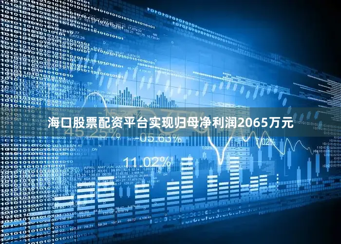 海口股票配资平台实现归母净利润2065万元