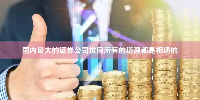 国内最大的证券公司世间所有的道理都是相通的
