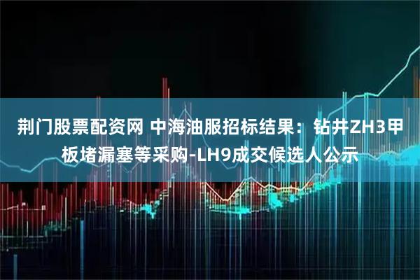 荆门股票配资网 中海油服招标结果：钻井ZH3甲板堵漏塞等采购-LH9成交候选人公示